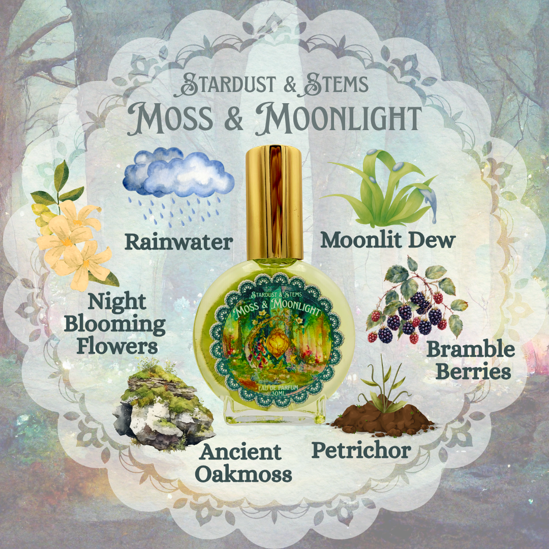 MOSS & MOONLIGHT | Forest Petrichor & Oakmoss Perfume | Eau de Parfum
