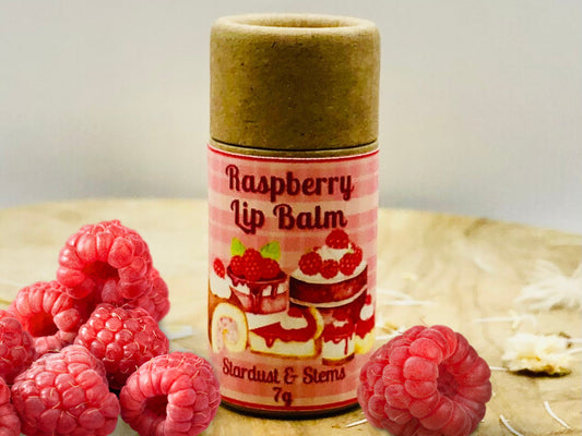 RASPBERRY LIP BALM Raw Mango Butter Lip Balm Biodegradable Lip Balm Party Lip Balm Dry Zero Waste Lip Balm Paper Tube Lip Balm Non Synthetic