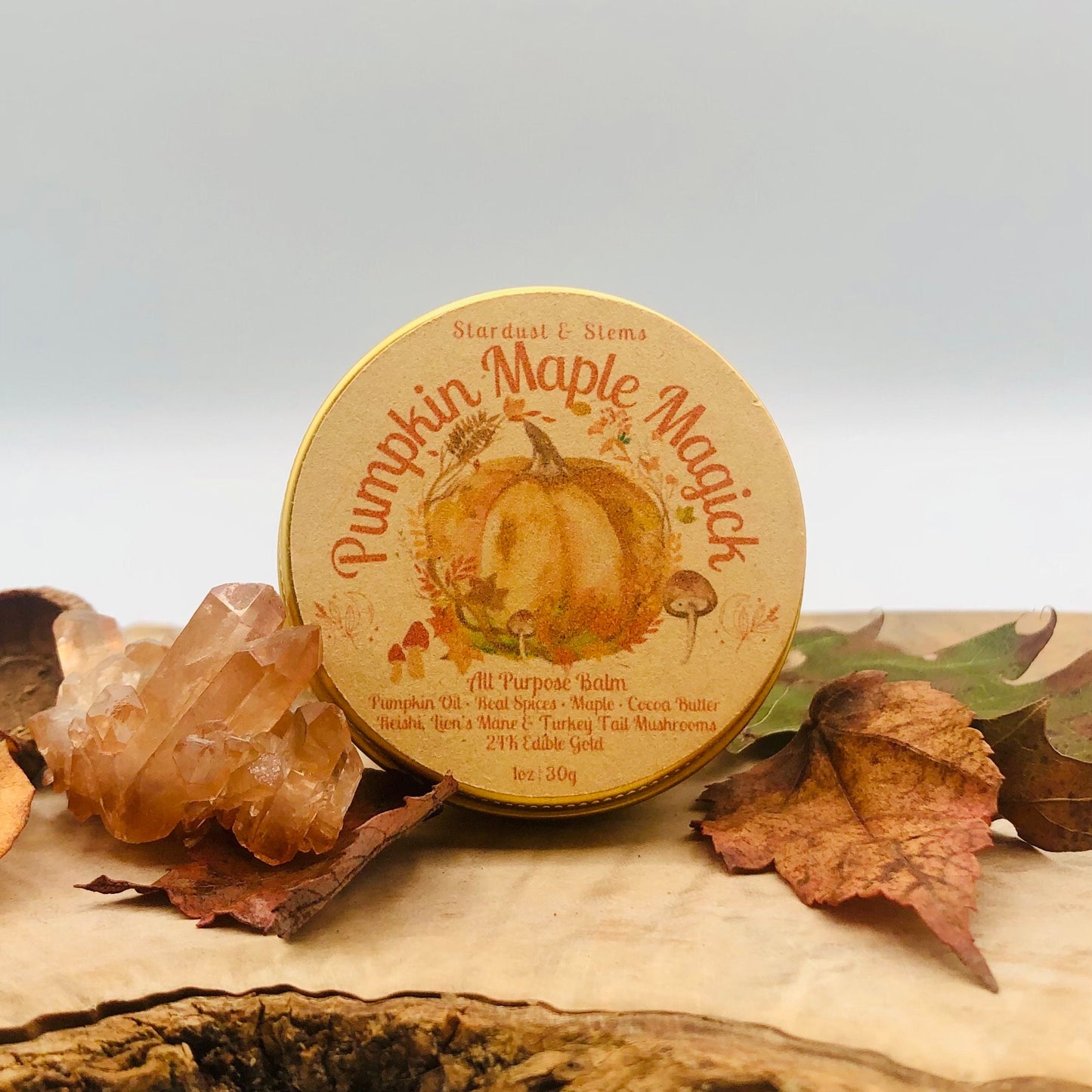 Pumpkin Maple Magick Lip Balm, Handmade Fall Spice Scent | Halloween & Autumn Gift Idea | Eco-friendly, Non-synthetic, Hydrating Pumpkin Oil