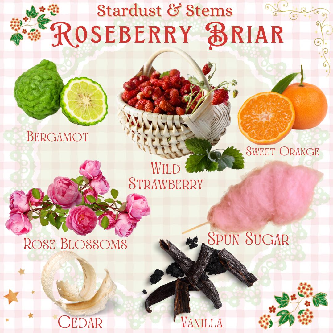 ROSEBERRY BRIAR Wild Strawberry, Antique Rose, Bergamot, Sweet Orange, Spun Sugar, Vanilla, Cedar, Natural Vegan Perfume, Nothing Artificial